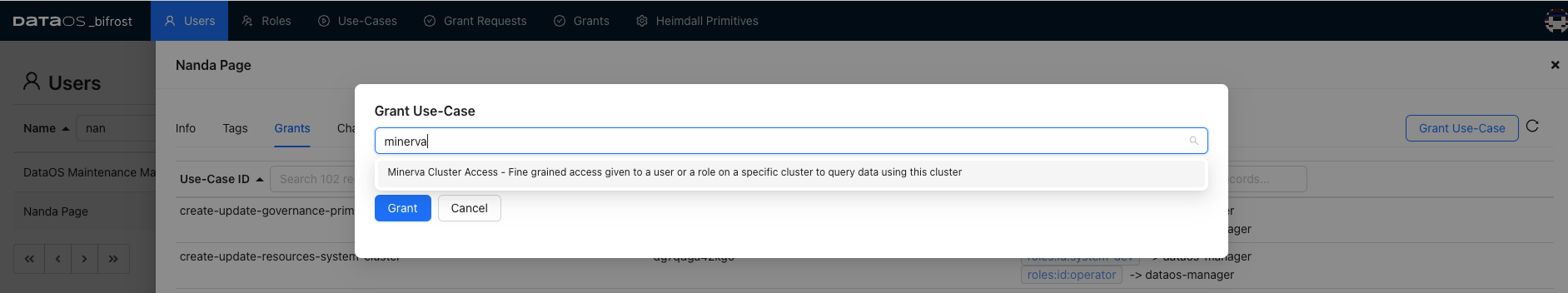 Minerva Cluster Access Use-Case displayed