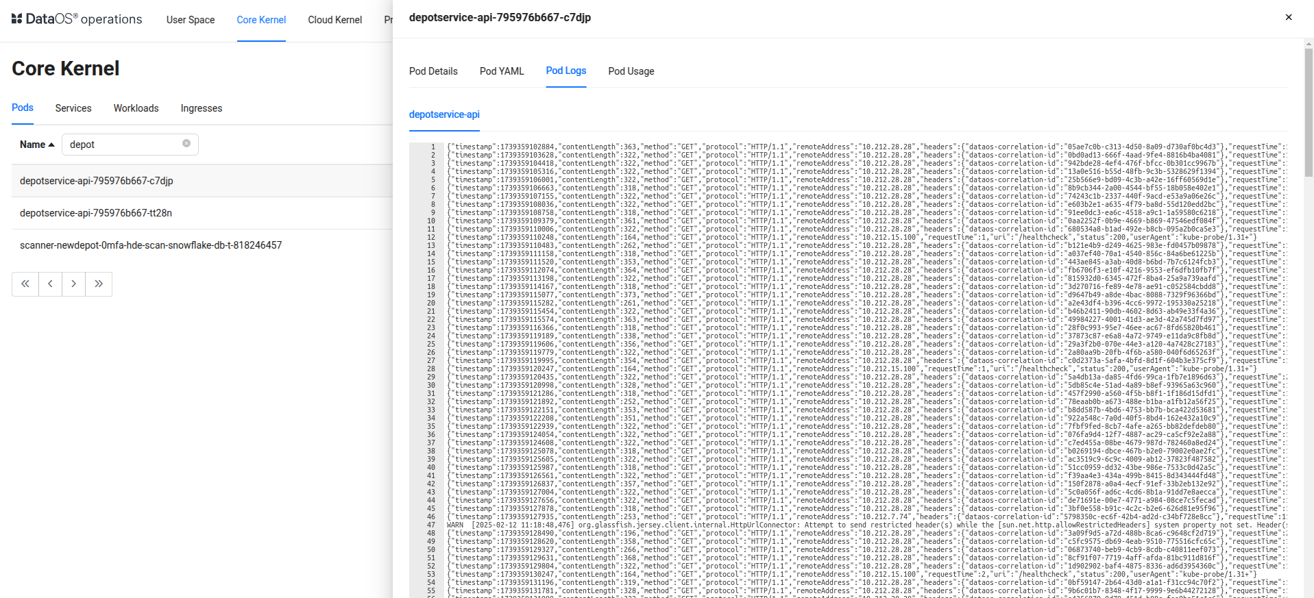 Hierarchical Structure of a Data Source within DataOS